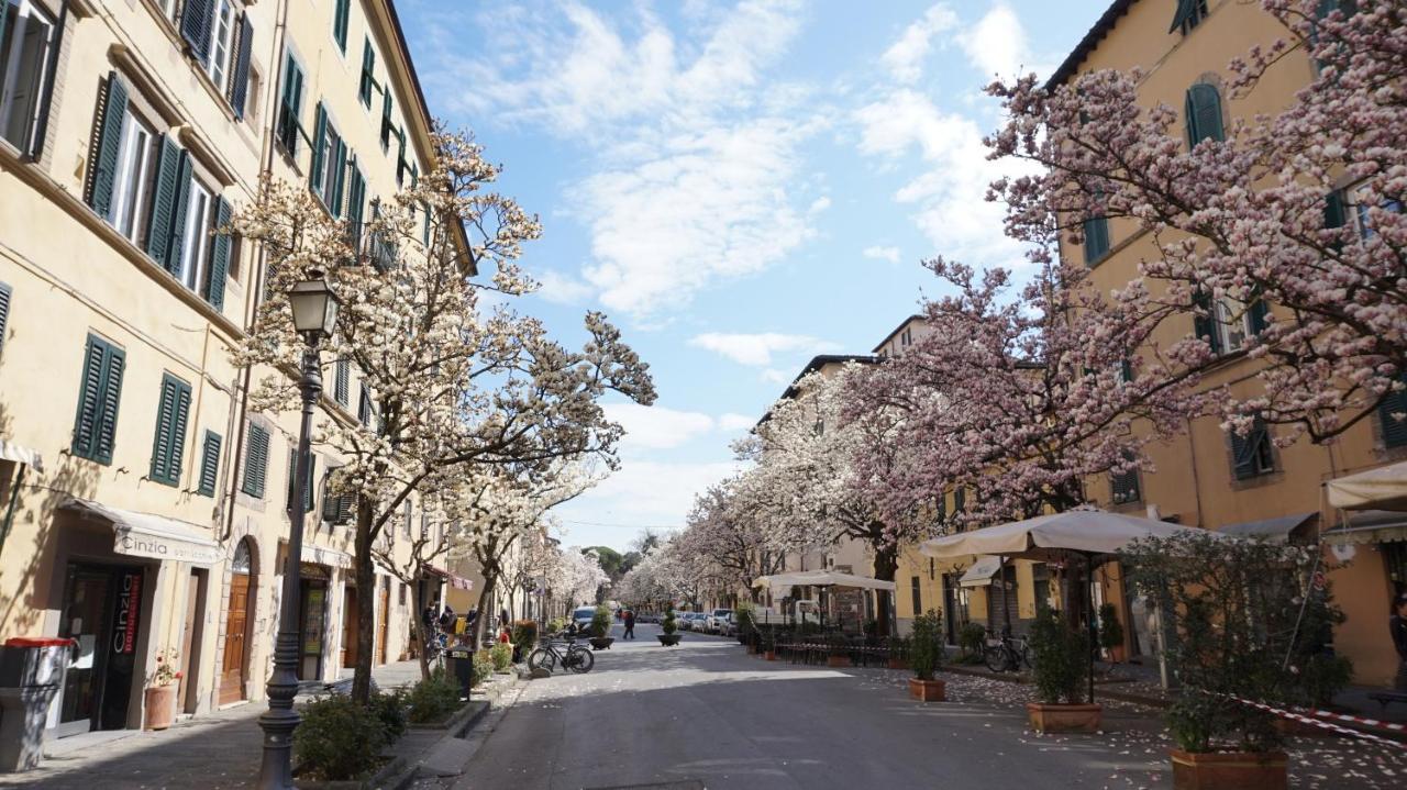 Il Chiassetto Cozy In Center Town * Lucca